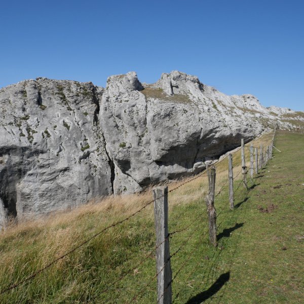 Aitzorrotz tontorra mendebaldetik