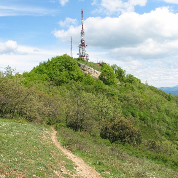 Zaldiaran tontorra mendebaldeko bizkarretik