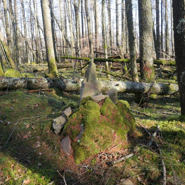 Deskarga mendiaren tontorra