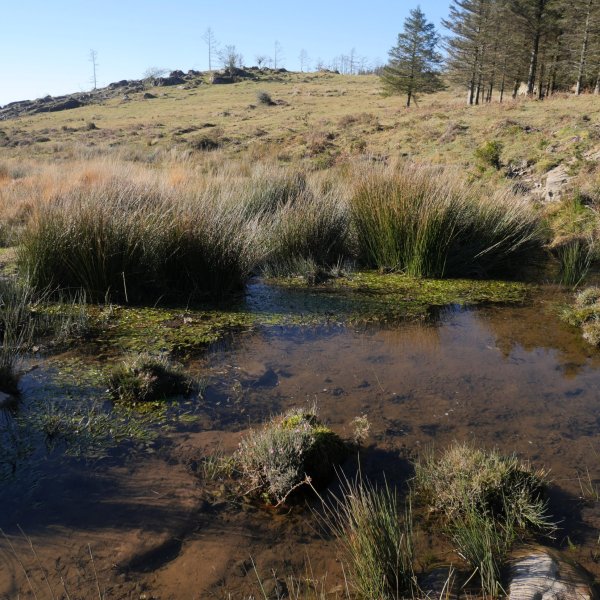 Usabelartzako errekastoa