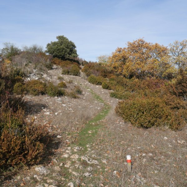 Itxesorde tontorrera gerturatzen