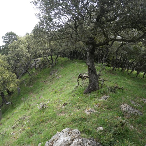 Illunbeta gailurra mendebaldetik