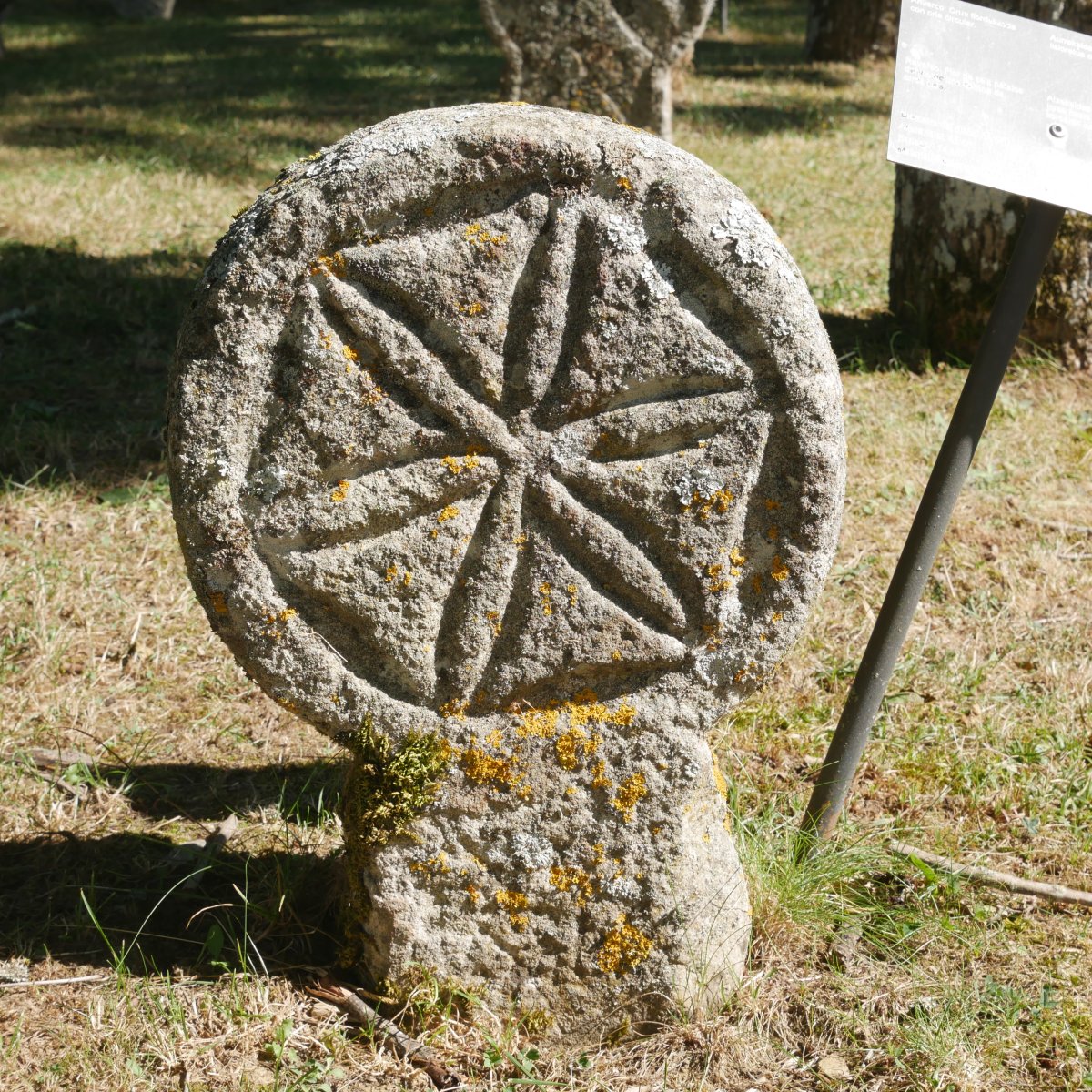 Hilarria Aurizberrin