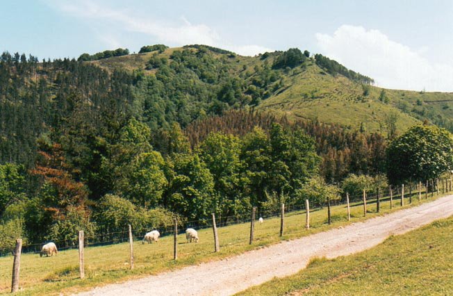 Mendebaldeko isurialdea