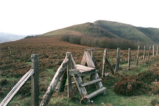 Hesia Iruinarri eta Irakurri artean
