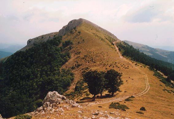 Idoia Iparraldetik ikusita