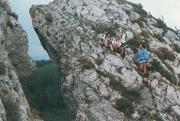 Lezearen gaineko gandor zorrotza