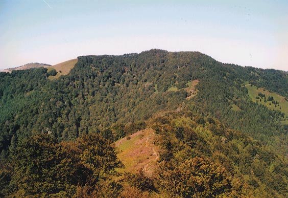 Ekialdeko isurialdea