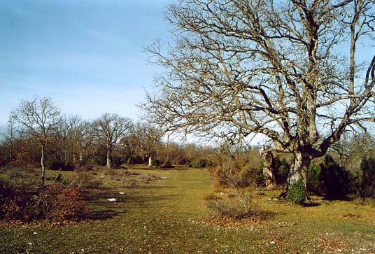 Hegoaldeko isurialdearen ikuspegia