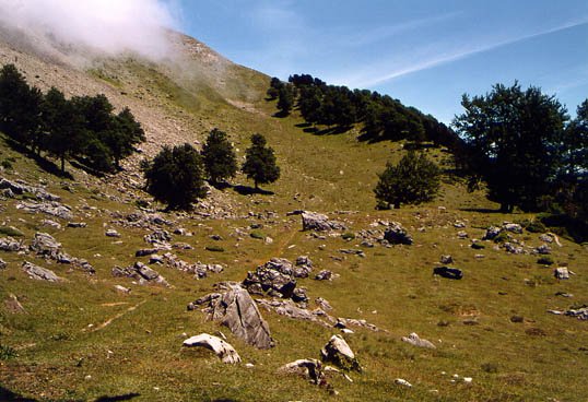 Hegoaldeko isurialdea