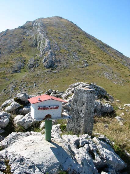 Tontor bakoitzak bere buzoia