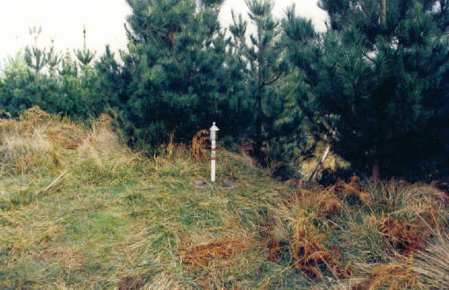 Buzoia (Ez da tontorra)