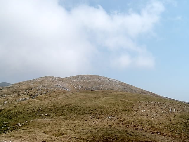 Alotzako larreak 2003. udako lehortean