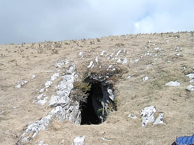 Leizea Beleko inguruan (Alotza)