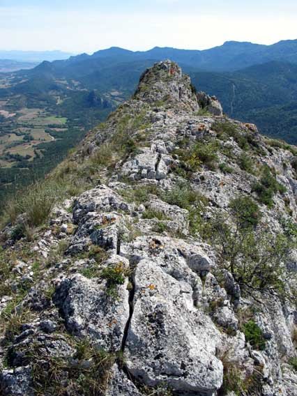 Tontorrerainoko gandorra Mtik