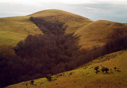 Mendiaundi Lindus aldetik