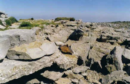 Buzoiaren hondakinak