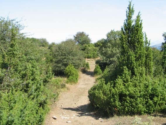 Ermitatik tontorrerako bidea