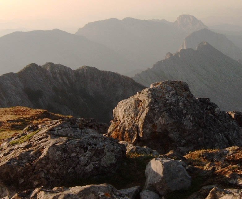 Anbotoko tontorratik