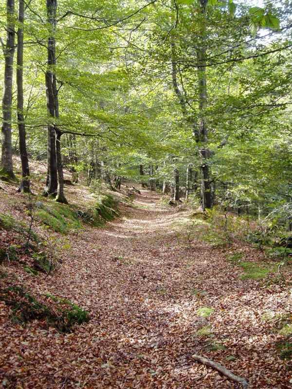 Urdalur urtegitik igotzen den bidea (GR 121.1 Gipuzkoako bira)