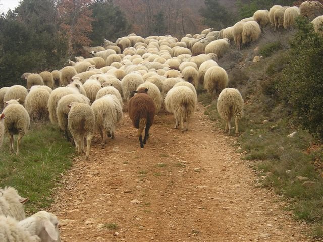 Atalarantzako igoera lasaigarria
