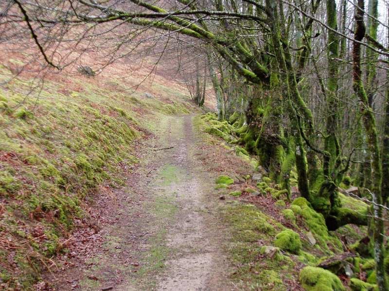 Kortazar-Irukurutzeta bidea Atxolin inguruan