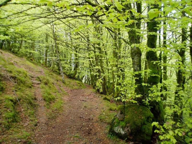 Atxolin IEtik inguratzen duen bidea