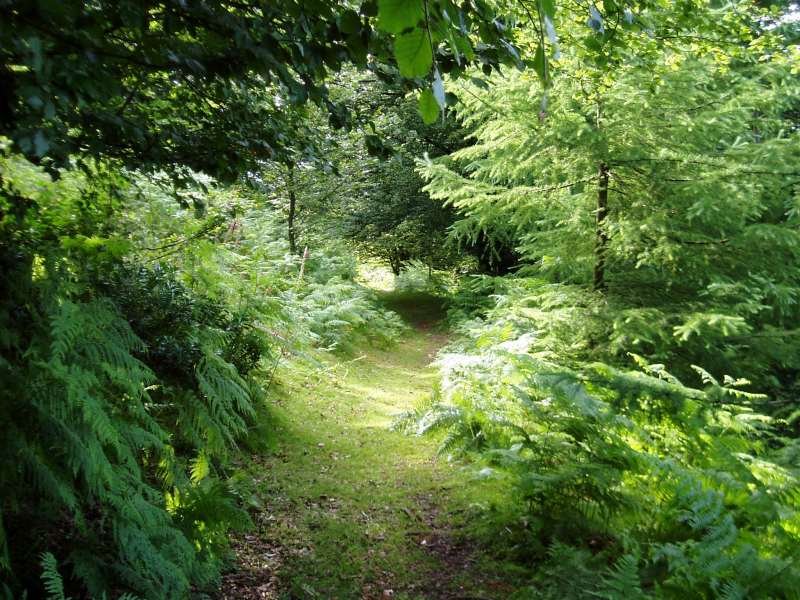 Atxolin IEtik inguratzen duen bidea