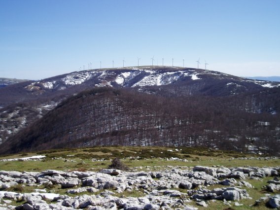 Otsoarrate lepotik ikusita