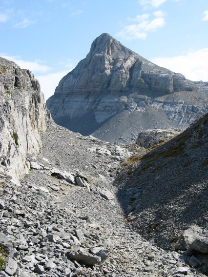 Ohiko bidetik ikusita