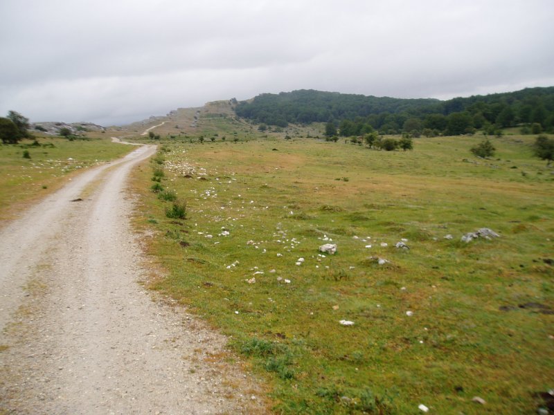 Bioitza eta Lizarragako mendatearen arteko bidea Mendizelain