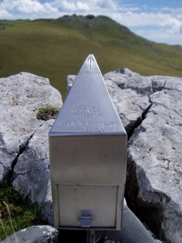 Arrubiko buzoi berria