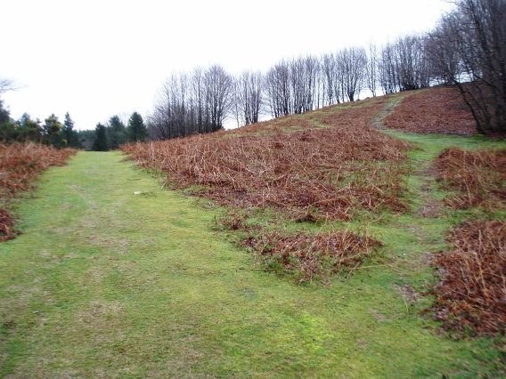 Bidegurutzea: eskuineko bidea Kurutzebakarrera, bide nagusia Irukurutzetara