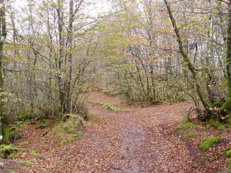 Agerreburu eta Elosumendi arteko bidea
