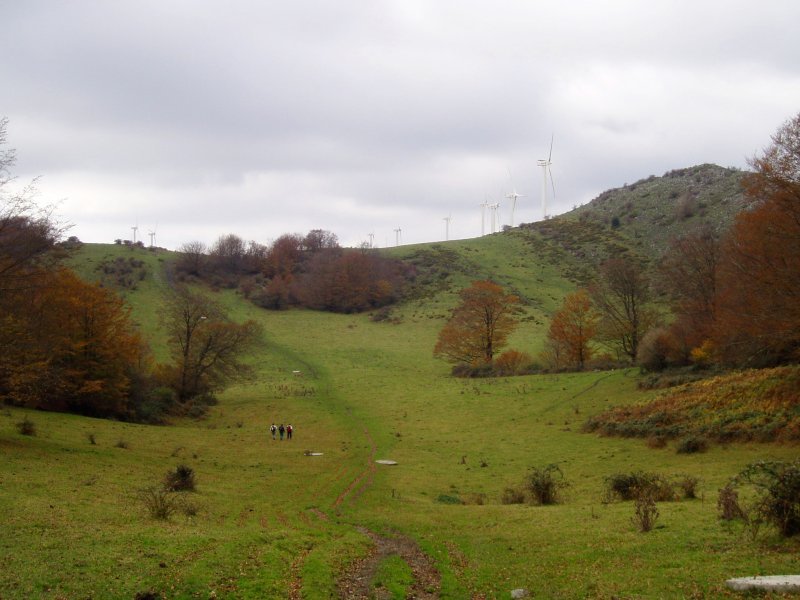 Tontorra eta inguruko larreak