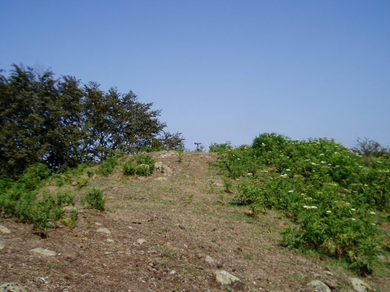 Akelarreko tontorra (763 m)