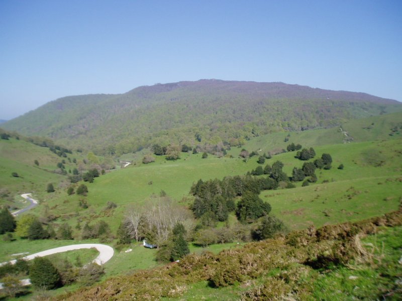 Orion mendatetik ikusita