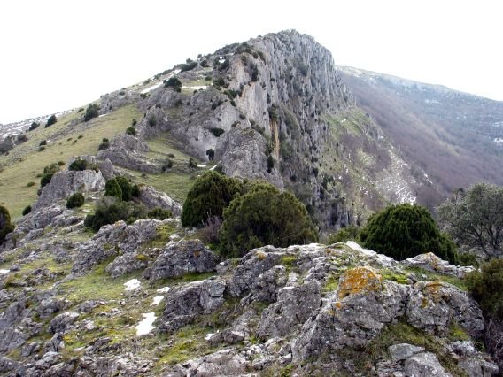 Iparraldeko gandorraren ikuspegia