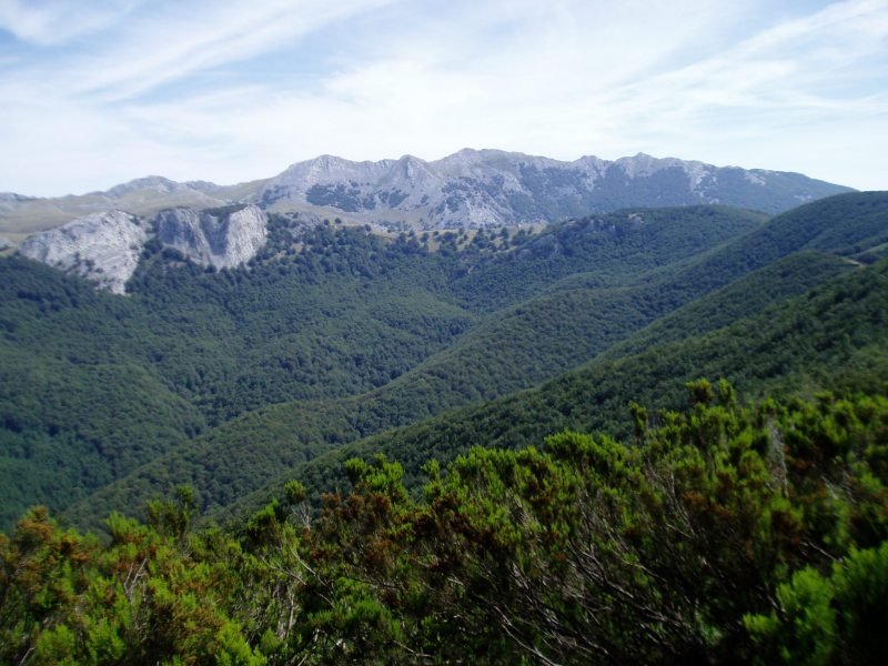 Iparrekialdera ikuspegia Zurkuntzetik