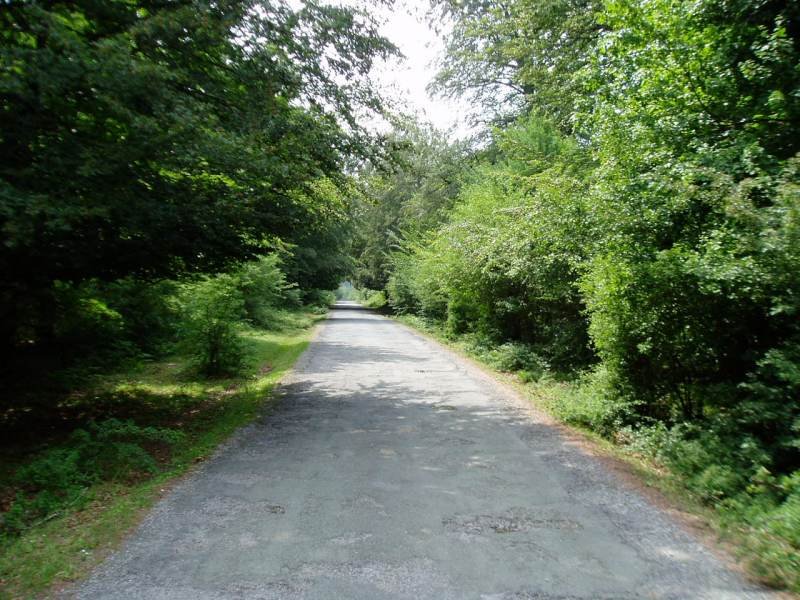 Bihoitzatik Otsoportilora doan bidea