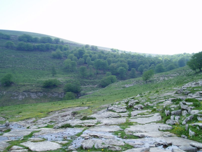 Barrerillako atakaren ingurua