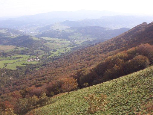 Pagadia sendanegratik