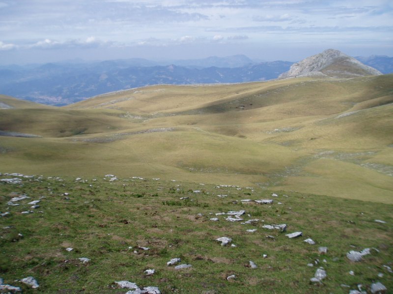 Alotza tontorretik ikusita