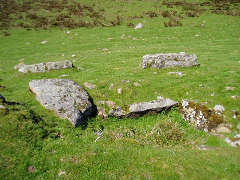 Trikuharria Azpegi lepoan