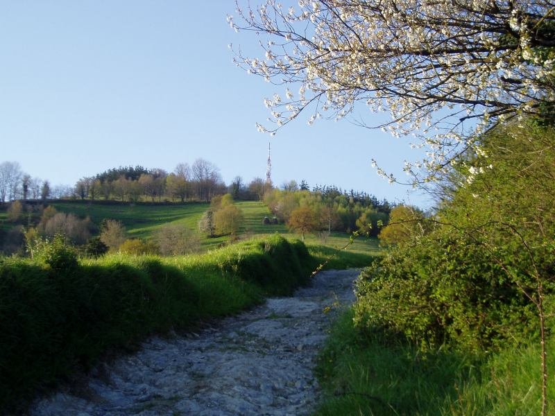 Tontorra hegoaldetik ikusita