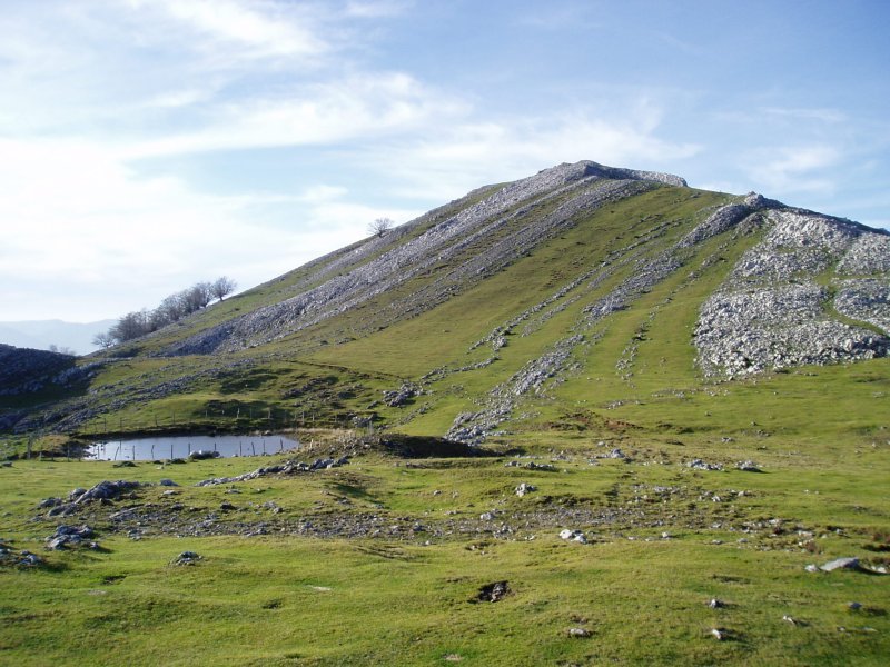 Biozkornia lepotik ikusita