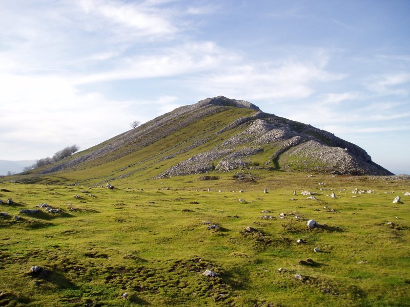 Biozkornia lepotik ikusita