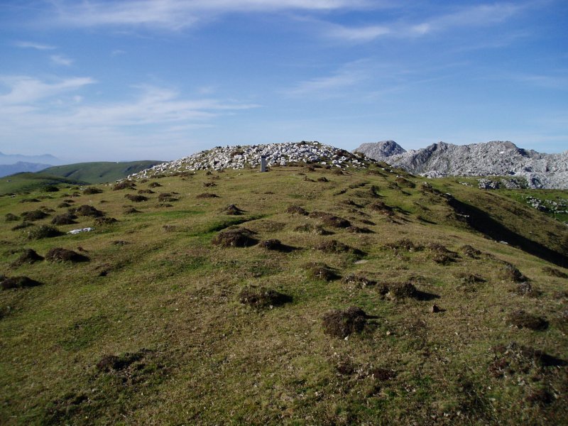 Aizkorritxo trikuharria