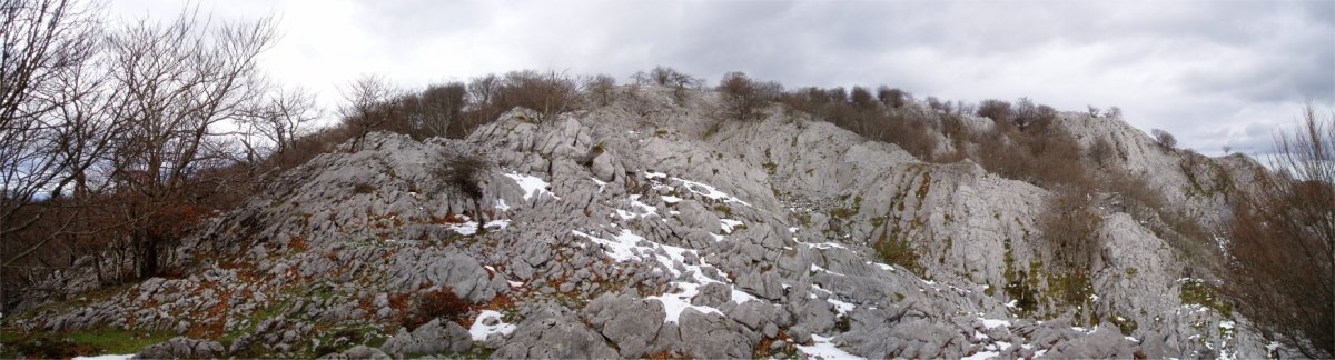 Gainaldeko karst eremua