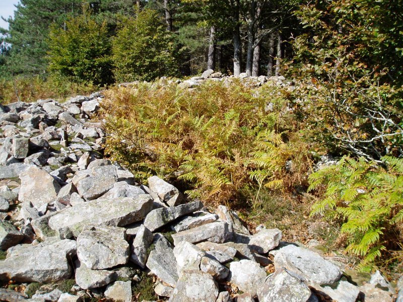 Jentiletxeko tumulua